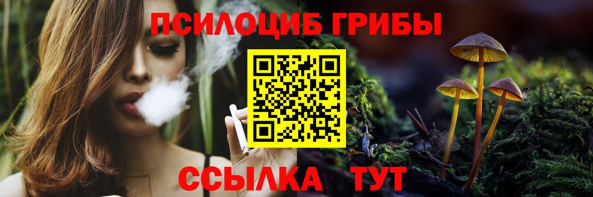 Галлюциногенные грибы Magic Shrooms Россия