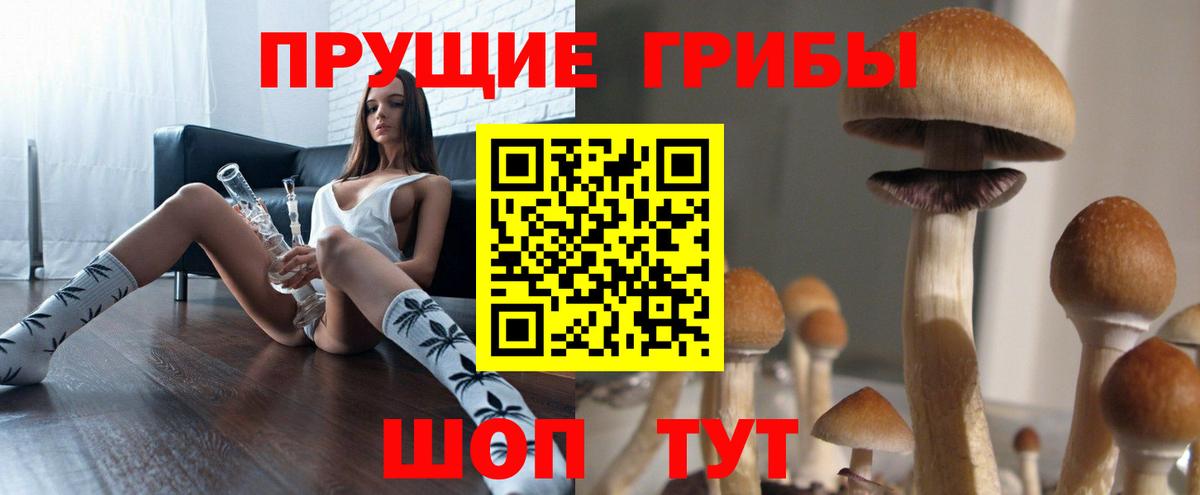Галлюциногенные грибы ЛСД  Вход с VPN  Россия 