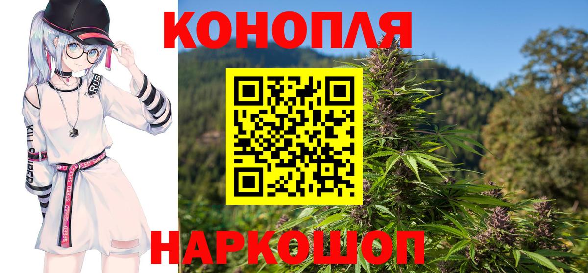 Конопля индика Россия